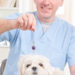 Gedragstherapie bij honden