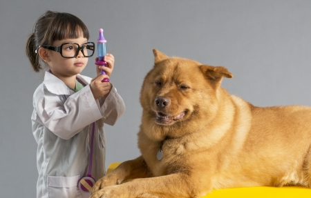evenwicht Silicium Behoort Suikerziekte bij je hond is goed te behandelen - JeDierenWijzer